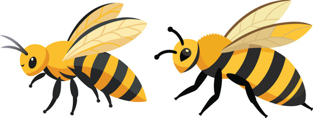Bee, side view with white background 