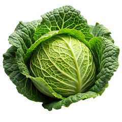 Cabbage PNG on White Background Ideal for Culinary and Agricultural Illustrations