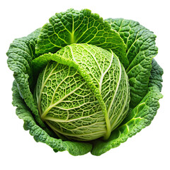 Obraz premium Cabbage PNG on White Background Ideal for Culinary and Agricultural Illustrations