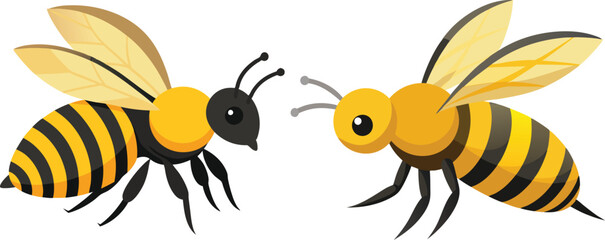 Bee, side view with white background 