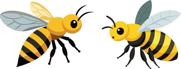 Bee, side view with white background 