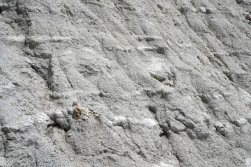 Scala dei Turchi Stair of the Turks, Sicily Italy , Scala dei Turchi. Realmonte Sicily, Italy