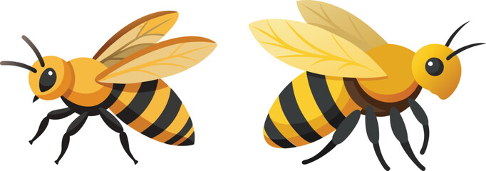 Bee, side view with white background 