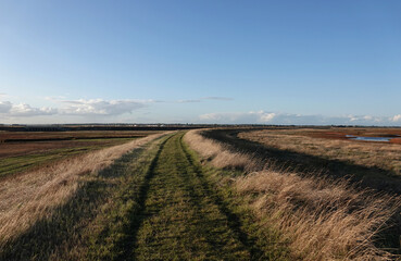 A beautiful view under a blue sky across Wallasea Island nature reserve on the Essex coast. 