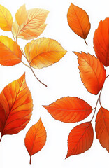 Fototapeta premium Herbst