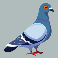 pigeon.eps