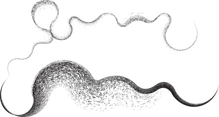 Curved Dry Brush Stroke . Chinese calligraphy . Japanese style . Snake logo. Asian design elements . Looped brush line . Vector