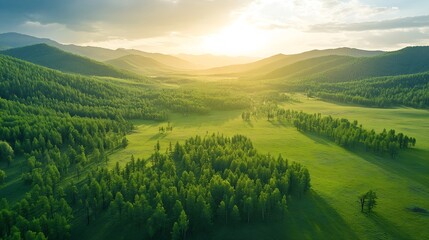 Naklejka premium Aerial top view green forest and green trees in rural Altai Drone photo : Generative AI