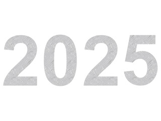 2025 Rough silver color