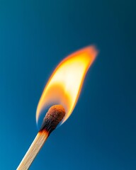 A burning matchstick in close-up, with the flame just igniting the tip.
