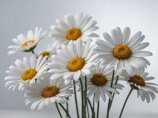 Obraz premium A close-up photograph of a bouquet of white daisies with vibrant yellow centers against a soft background