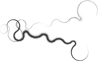 Curved Dry Brush Stroke . Chinese calligraphy . Japanese style . Snake logo. Asian design elements . Looped brush line . Vector