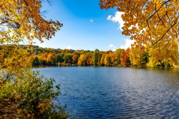 Lake view in autumn. Autumn landscape in beautiful colorful nature. Golden autumn leaves on beautiful lake. Forest landscape in colorful autumn season. Colorful lake scenery in the forest.
