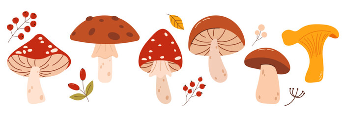 Set of with autumn mushrooms and branches with berries. Fall, Thanksgiving Day. Hand drawn mushrooms in warm natural fall colors isolated on white. Vector illustration - autumn themes