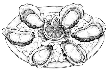 Black and white oyster salt-water bivalve platter © Rawpixel.com