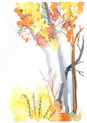 Forest, garden, trees in autumn, poster for printing. An autumn abstract forest, a park with autumn leaves, painted in watercolor. Abstract autumn illustration on a white background for fashionable