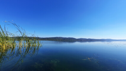Sapanca Lake and surrounding green area