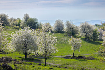 Typical landscape in Stiavnicke vrchy on Krupinska planina, Slovakia