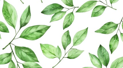 Watercolor Green Leaves Pattern, Watercolor, White Background, Nature , botanical, greenery, leaves