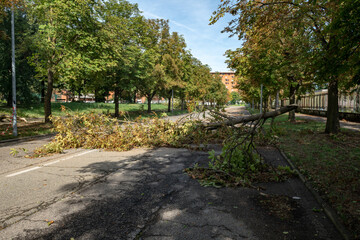 trees felled and trunks broken by strong gusts of wind on the city, extensive damage caused by the climate, tornado and powerful storms. summer weather news on climate emergency. turin italy