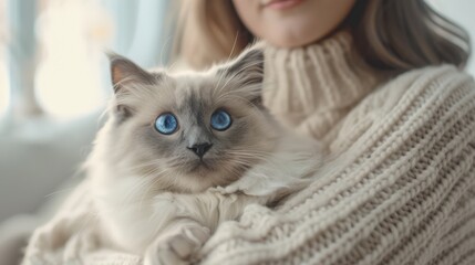 The cat with blue eyes