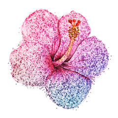 Glittery hibiscus flower sticker overlay with a white border design element © Rawpixel.com