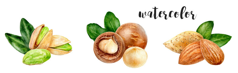 A stunning Watercolor Illustration of Nuts and Leaves, showcasing charm and a healthy theme