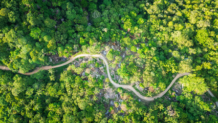 aerial top down narrowed switchback road in to the jungle with green palm tree vegetation in...