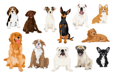 PNG pet dogs sticker illustration set, different breeds, transparent background