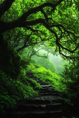 Obraz premium A serene forest path winding through lush greenery, inviting exploration and connection with nature amidst tranquil surroundings.