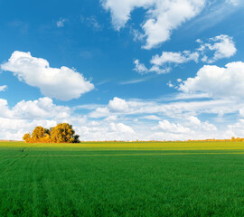 An autumn landscape featuring a lush green field, golden-hued trees and a majestic sky
