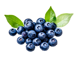 Fresh blueberries with blueberry leaves isolated on transparent background. Top view.
