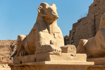 A sphinx guards the Avenue of the Sphinxes, a sacred path connecting the temples of Karnak and...