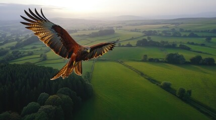 A red kite soaring high above green fields, symbolizing freedom and adventure