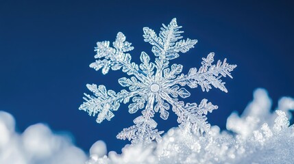A white snowflake against a deep blue winter sky, capturing the beauty of winter