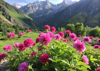 Obraz premium Vibrant pink flowers sway gently in the breeze, set against a stunning backdrop of majestic mountains towering above, showcasing serene natural beauty.