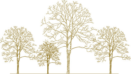 Vector sketch, silhouette illustration, detailed drawing design, collection of abstract unique trees in the forest with lots of branches for greenery