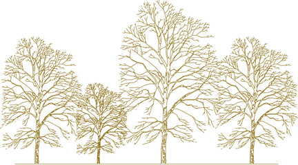Fototapeta premium Vector sketch, silhouette illustration, detailed drawing design, collection of abstract unique trees in the forest with lots of branches for greenery