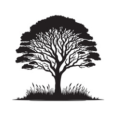 Fototapeta premium silhouette