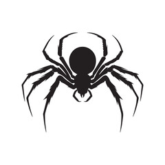 spider on a white background