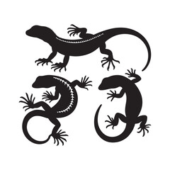 silhouette of a lizard