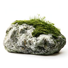 Moss and grass covered rock isolated on a white background 