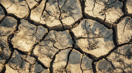 The Cracked Earth Texture Illustrating Severe Drought Conditions and Soil Degradation Effects