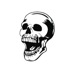 human skull vector illustration design