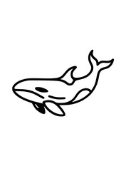 Sea Animals SVG, Sealife SVG, Seahorse SVG, Shark SVG, Dolphin SVG, Whale SVG, Starfish SVG, Crab SVG, Ocean SVG, Fish SVG, Jellyfish SVG, Oceanlife Clipart, Sea Animals Silhouette, Cut file for Cricu