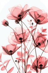 A x-ray of flowers, transparent, pink and red, on a white background, with a simple design, elegant, beautiful, delicate, and feminine. 