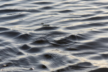 waves of the river closeup