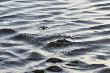 water surface background