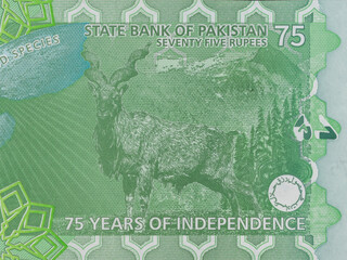 Portrait of Markhor and Deodar tree from 75th Anniversary Pakistani 75 Rupees Banknote (Green Color).