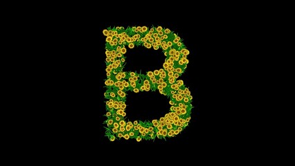 Beautiful illustration of English alphabet B with green leaves and yellow daisy flowers on plain black background